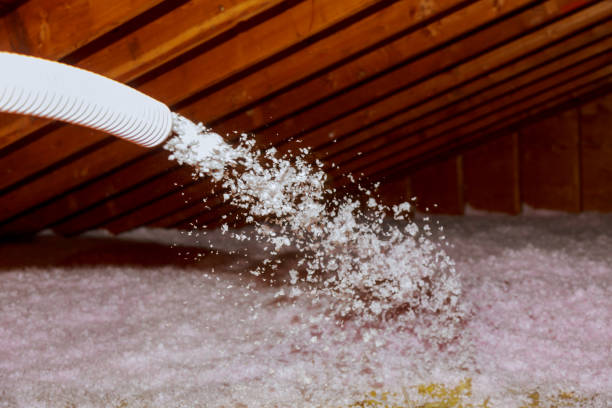 Best Commercial Insulation in Ellenton, FL