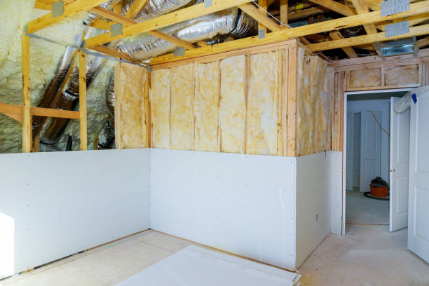 Best Eco-Friendly Insulation in Ellenton, FL